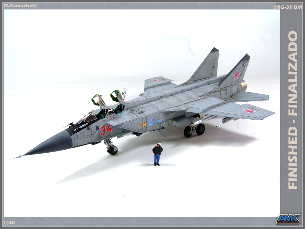 Amazon | アバンギャルドモデル 1/48 ソ連空軍 MiG-31BM/BSM